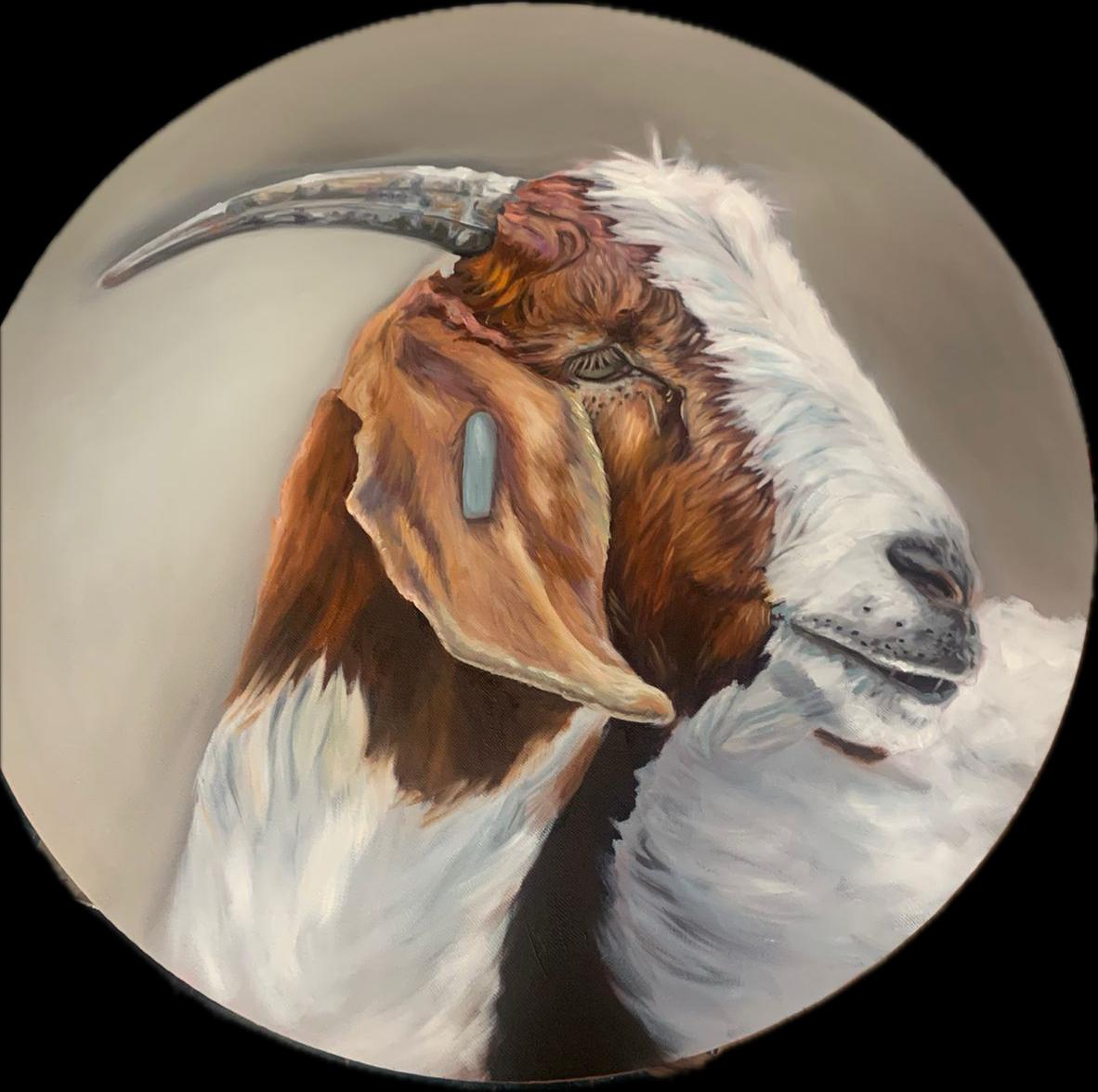 Padstal Gallery artwork